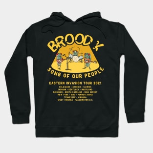 Cicada Brood X Cicada Invasion 2021 Cicada Song Hoodie